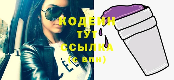 МДПВ Елизово