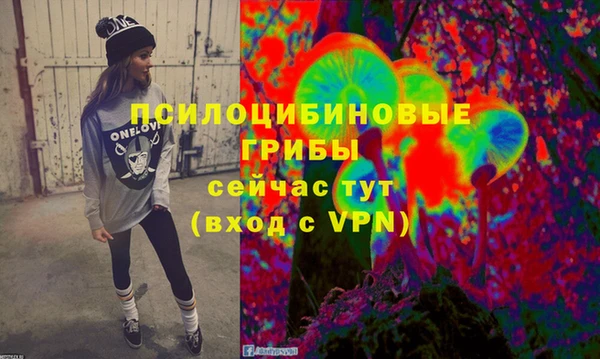 МДПВ Елизово