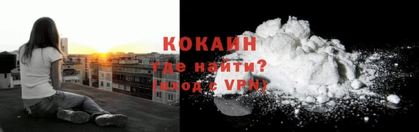сатива Елабуга