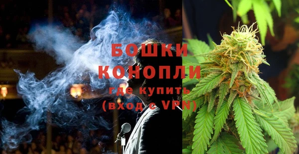spice Ельня