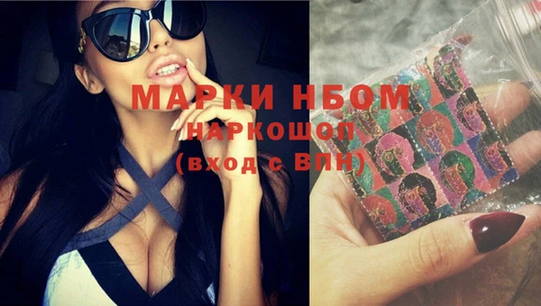 spice Ельня