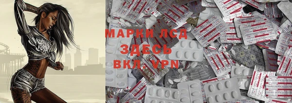 spice Ельня