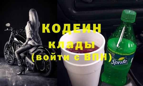 МДПВ Елизово