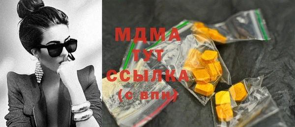 spice Ельня