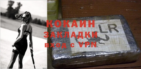 spice Ельня